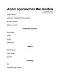 Adam approaches the Garden ebook