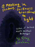 a meeting in shadows: darkness transformed to light ebook