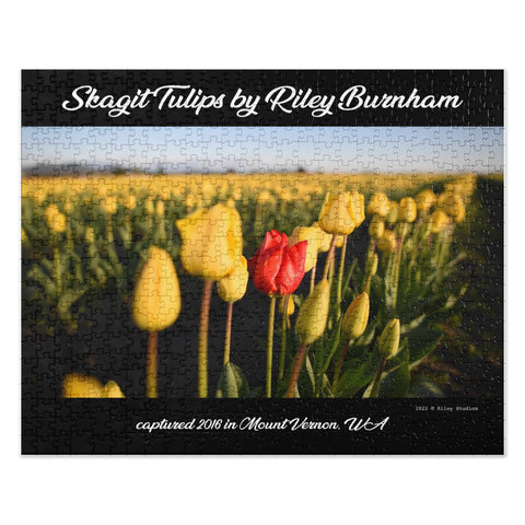 Skagit Tulips puzzle